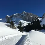 Les Sapins Blancs アパート Vacheresse