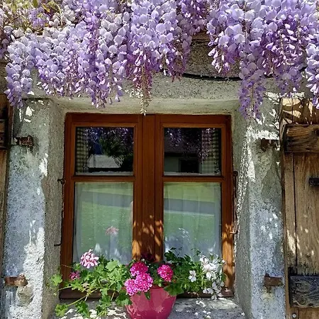 Apartman Les Sapins Blancs