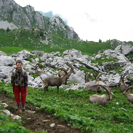 דירה Les Sapins Blancs *