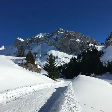 Les Sapins Blancs Daire Vacheresse