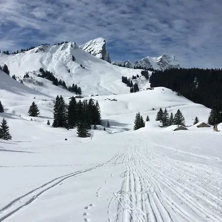Apartman Les Sapins Blancs *