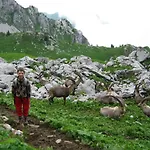 דירה Les Sapins Blancs *