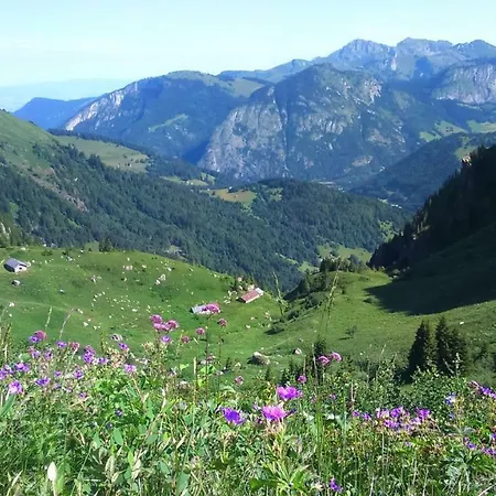 Apartamento Les Sapins Blancs Vacheresse