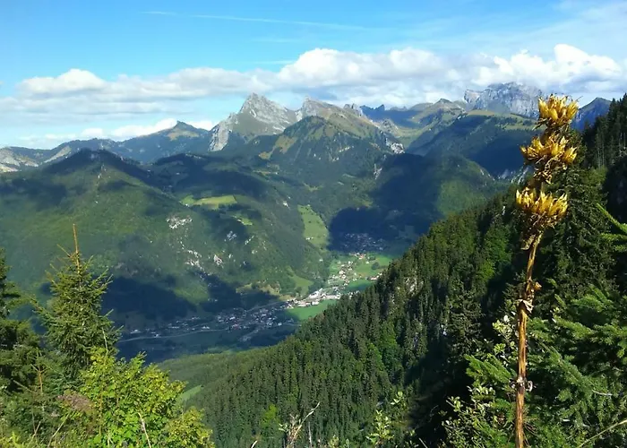 Les Sapins Blancs Вашерес