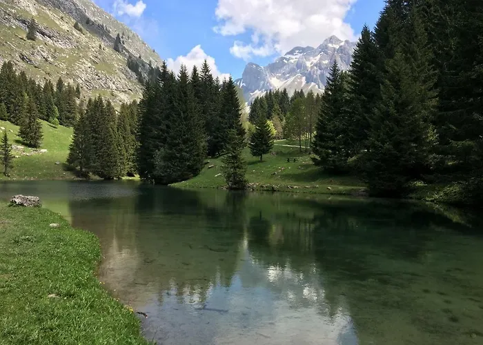 Les Sapins Blancs